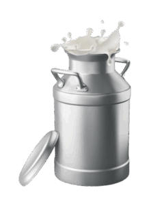 istockphoto 1297021037 612x612 removebg preview